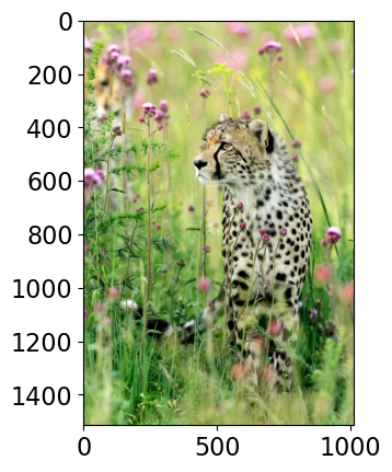 ../../_images/8d54e9647b2d73abaaa9c4b098d65095b4f3ab77334b28af66f730077b08aab0.png