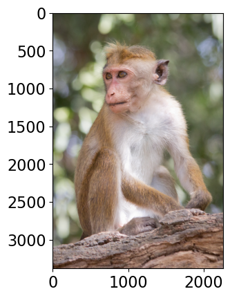 ../../_images/b9b68287bf4ae836ee407ea7de9e11e3b5188b10000f475f514d64a40e376a58.png